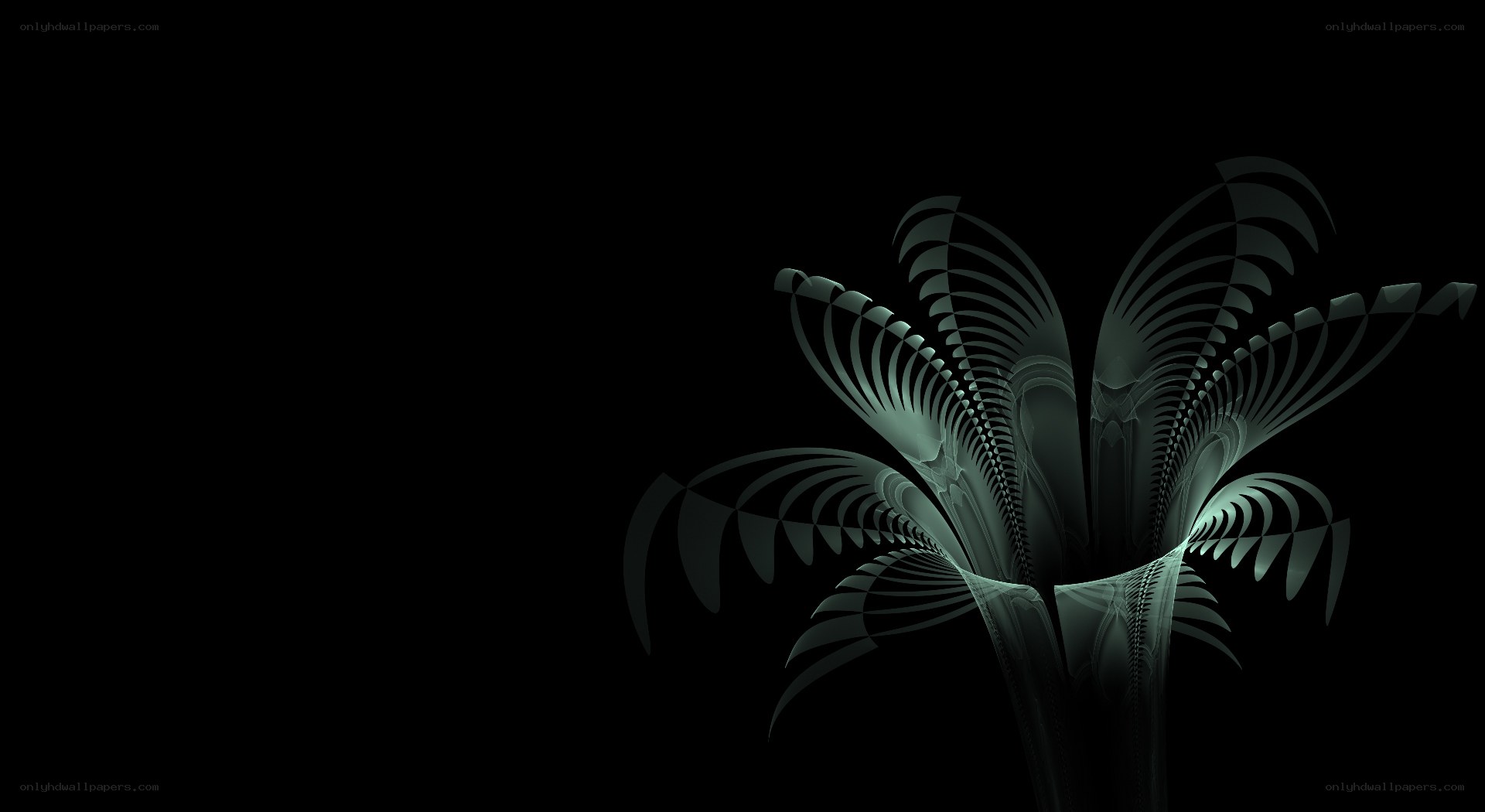 fractal plant design