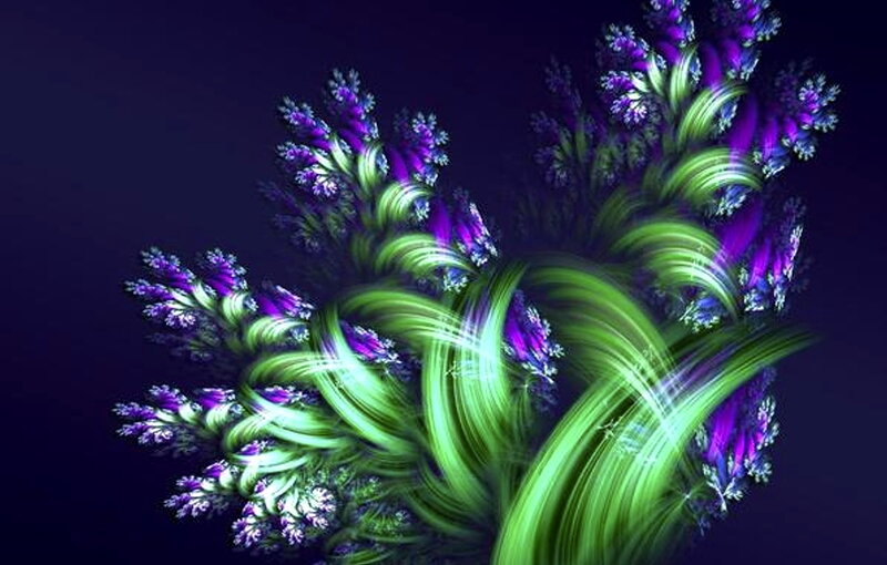 Fractal Plant Formation