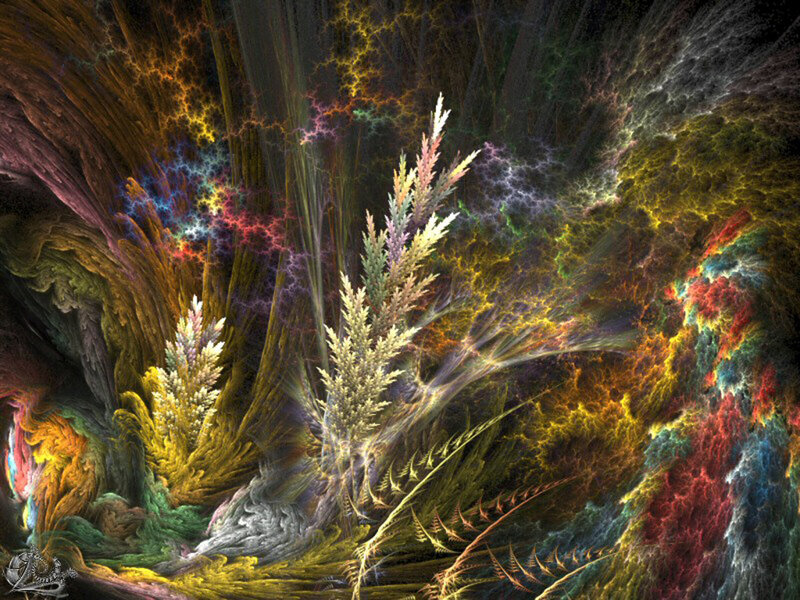 Fractal Plant Formations