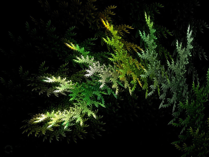 fractal plant growth