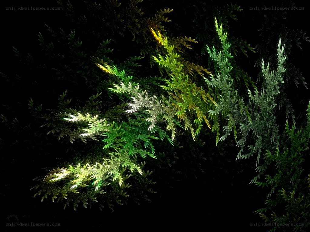 fractal plant growth