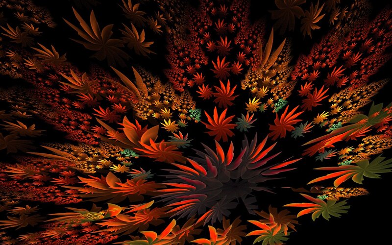 Fractal Plant Patterns — Black