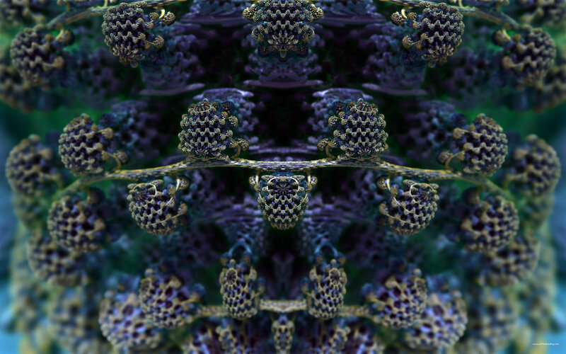 Fractal Plant Structure
