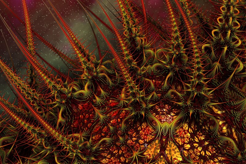 Fractal Plant Structures