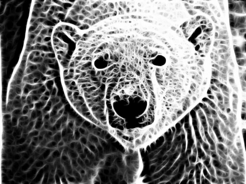 fractal polar bear portrait