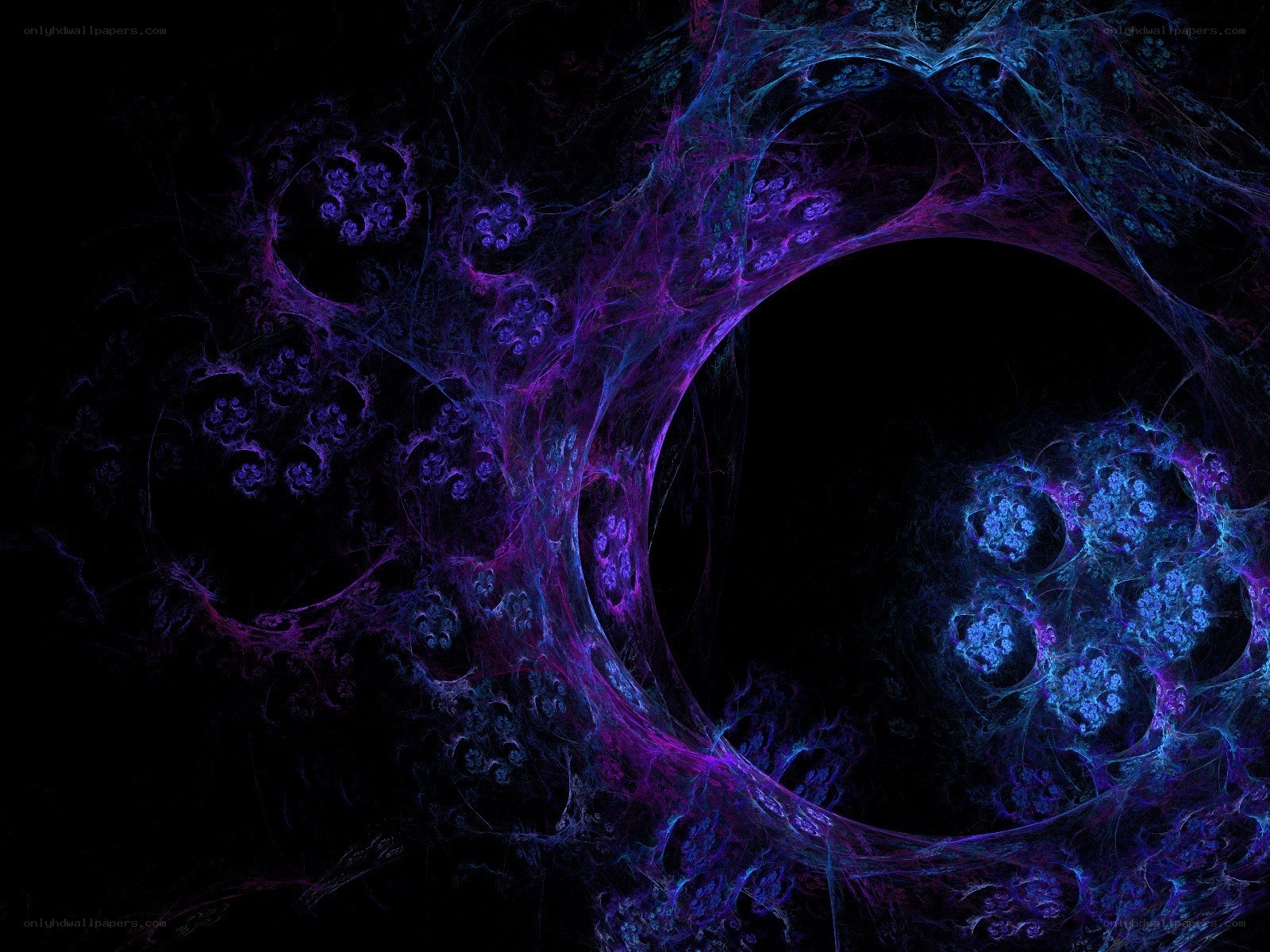fractal purple and blue patterns