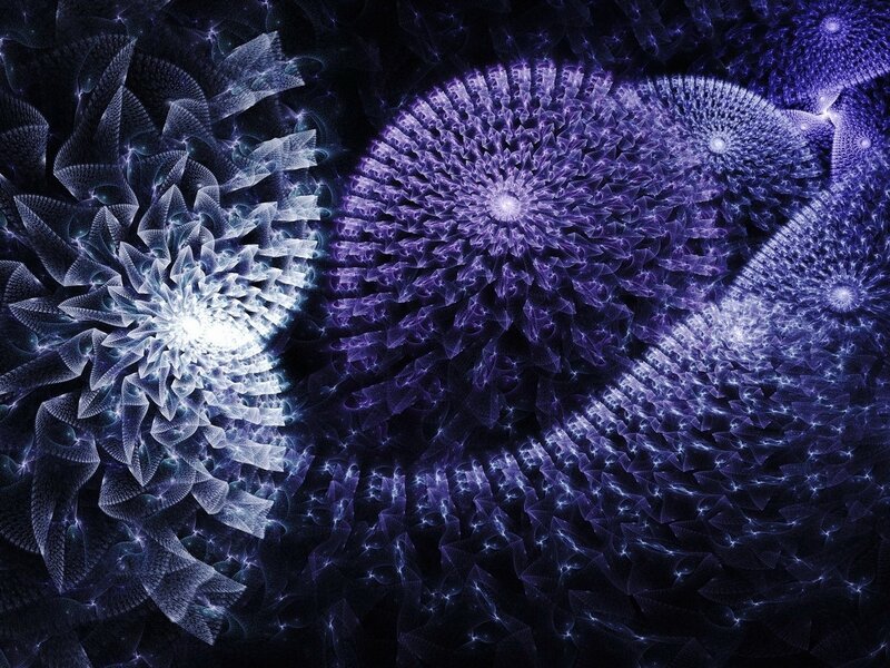 fractal purple and white patterns