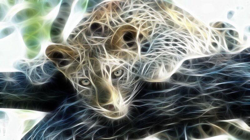 Fractal Raccoon Face
