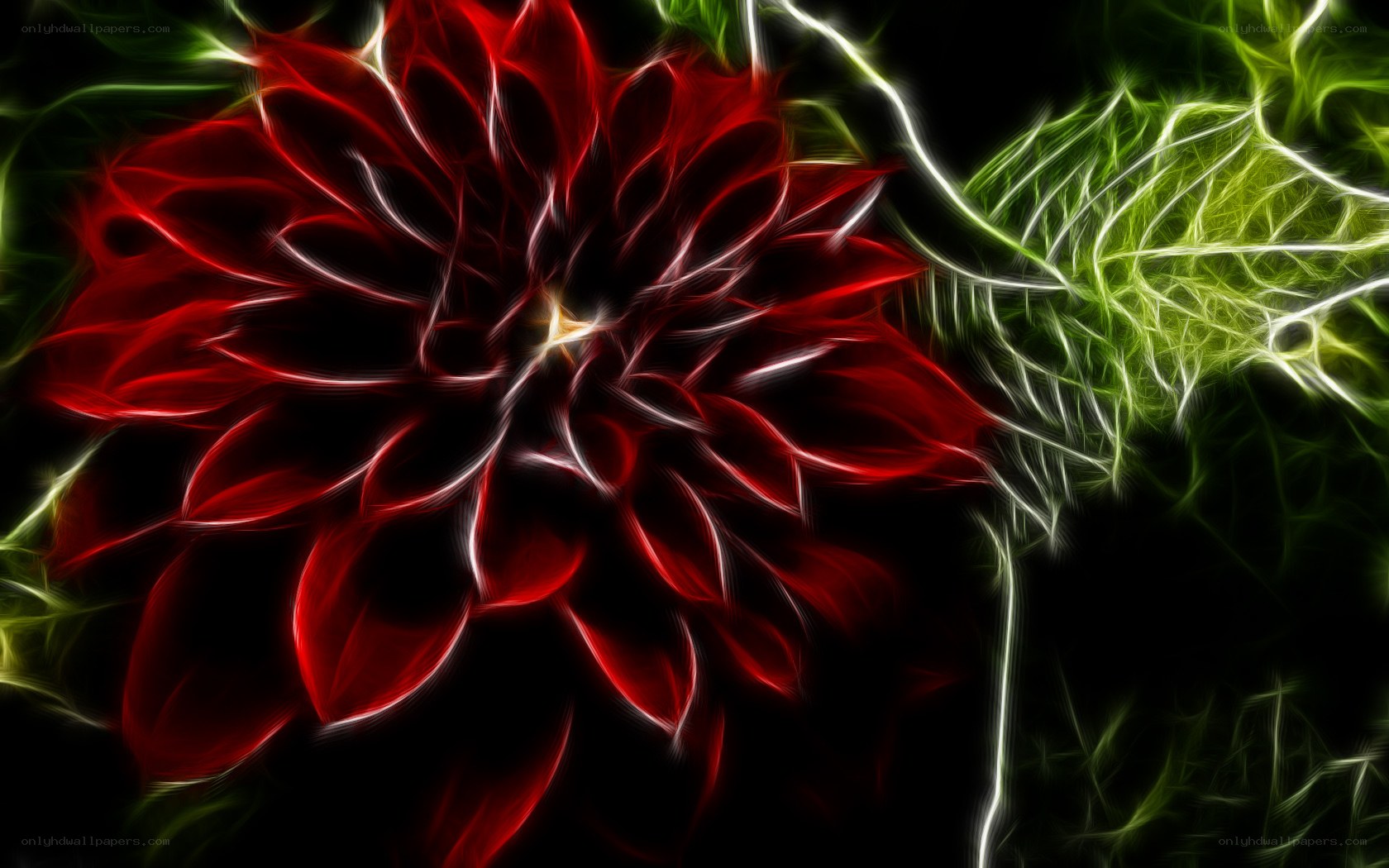 fractal red dahlia flower