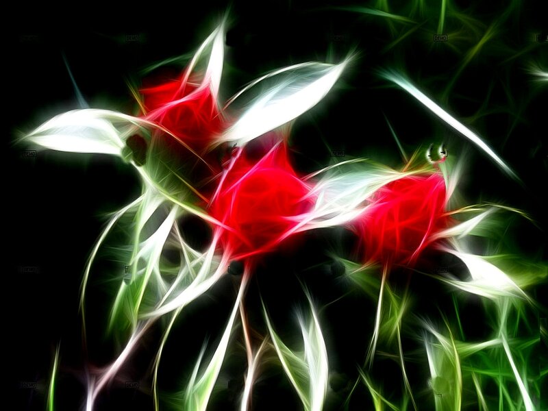 Fractal red flowers