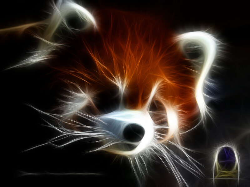 fractal red panda portrait