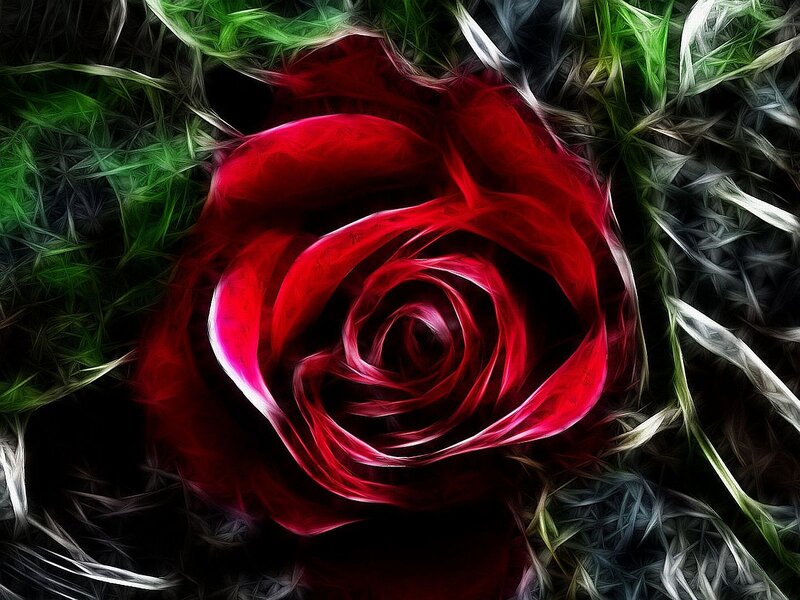 fractal red rose