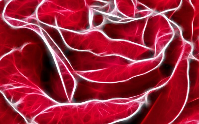 fractal red rose design