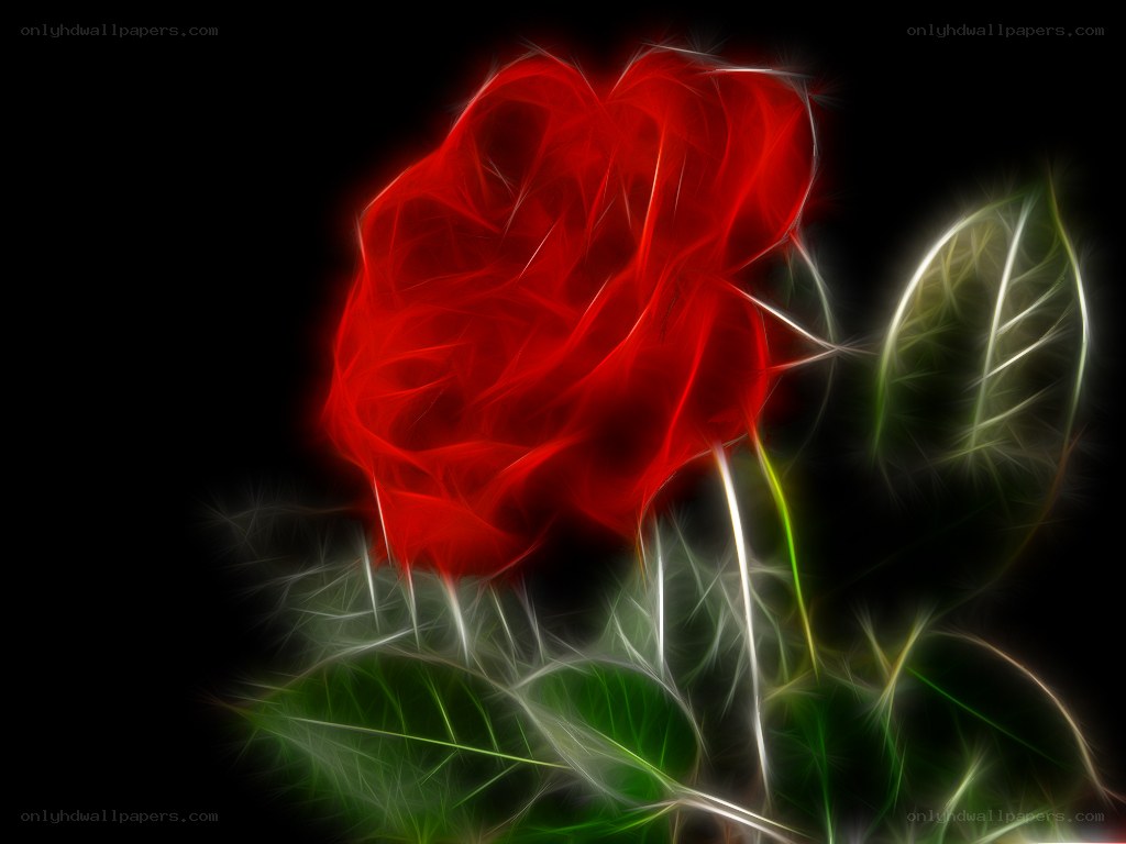 Fractal red rose