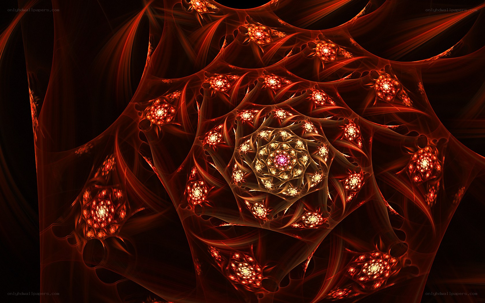 fractal red web pattern