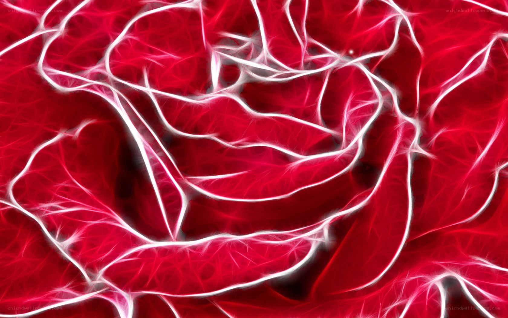 fractal rose design