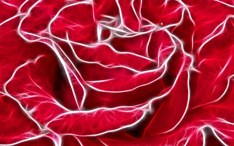Fractal rose design