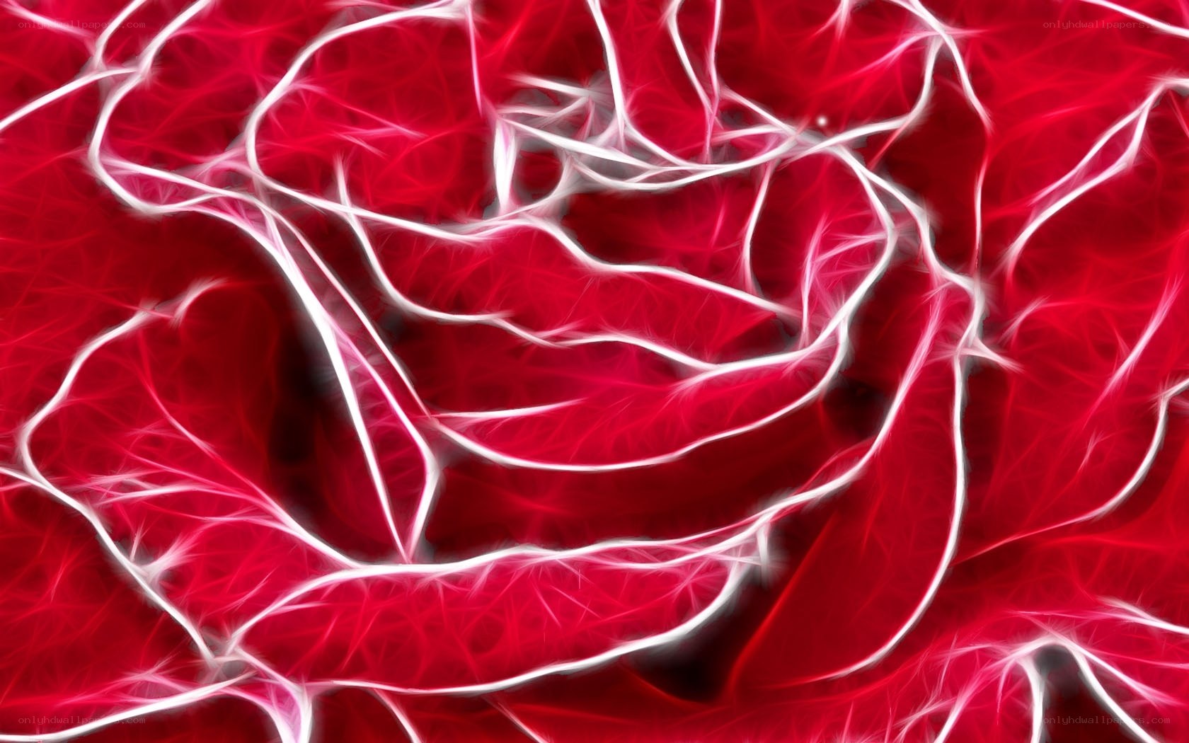 Fractal rose design