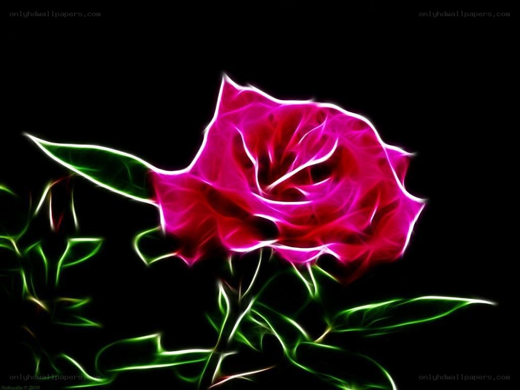 fractal rose flower