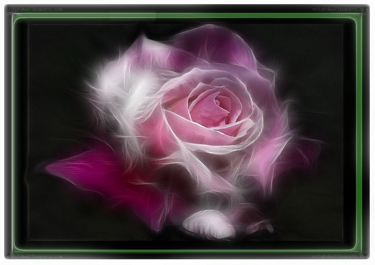 fractal rose flower