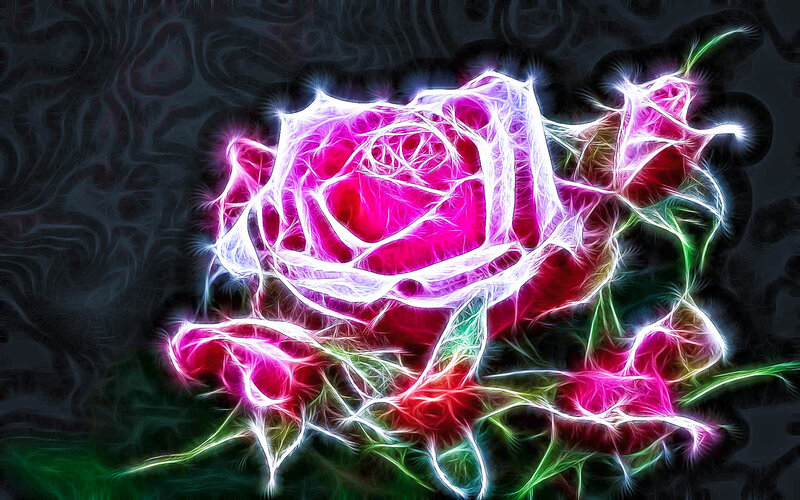 fractal rose flower