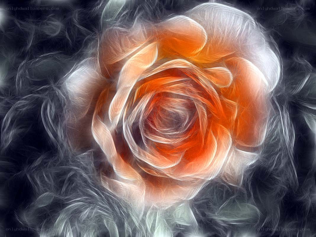 Fractal rose flower art