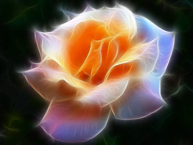 Fractal Rose Flower — Orange