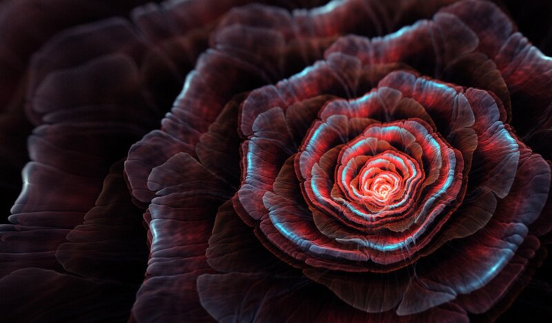 Fractal Rose Flower — Red, Dramatic, Digital Art