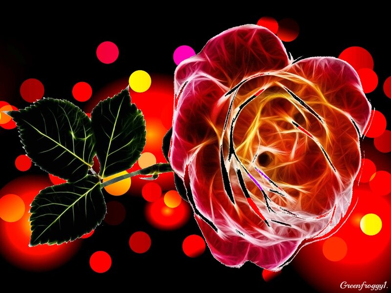Fractal Rose Flower — Red, Dramatic