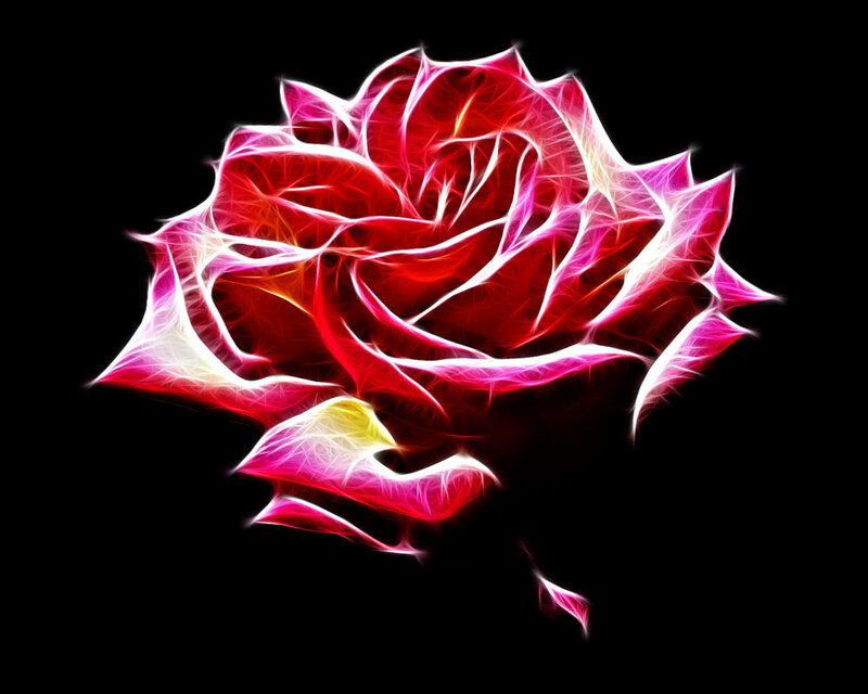 Fractal Rose Flower — Red