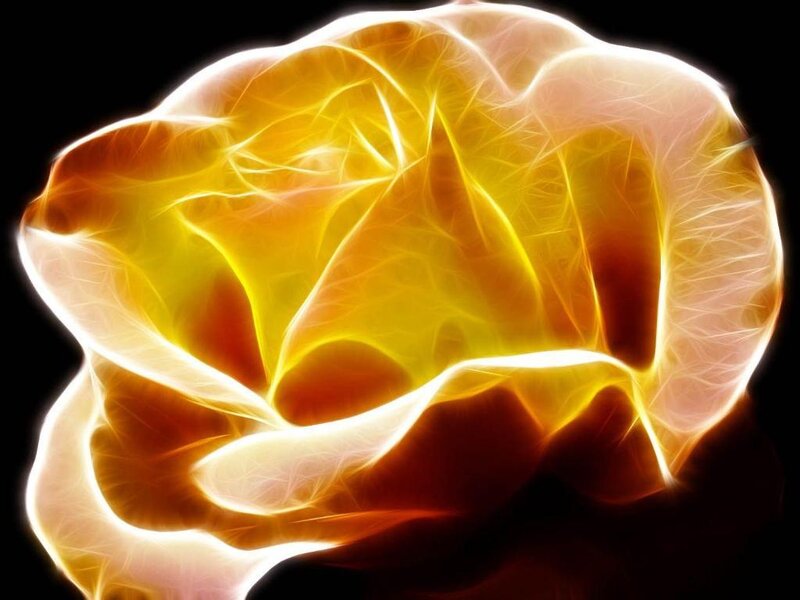 Fractal Rose Flower — Yellow