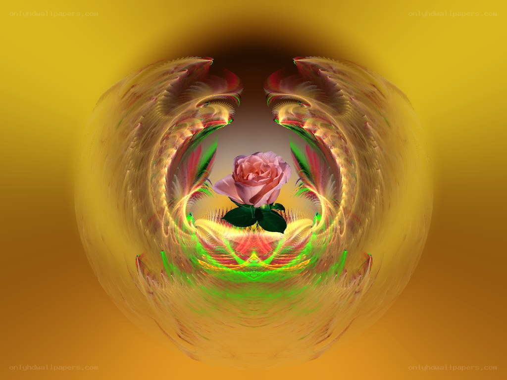 Fractal rose in golden vortex