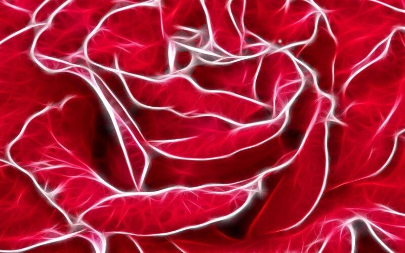 Fractal Rose Pattern — Red, Dramatic, Digital Art