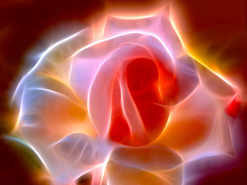 Fractal Rose Pattern — Red