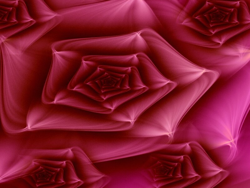 Fractal Rose Patterns