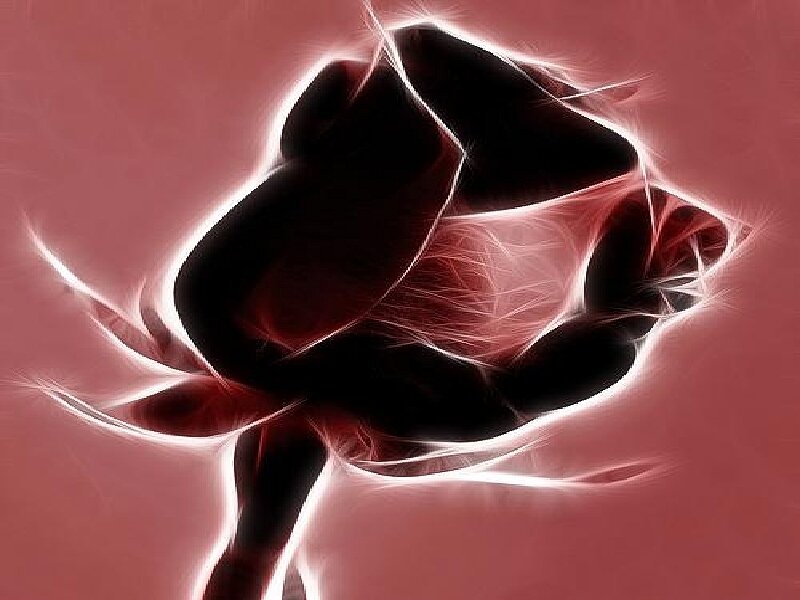 fractal rose with glowing outline