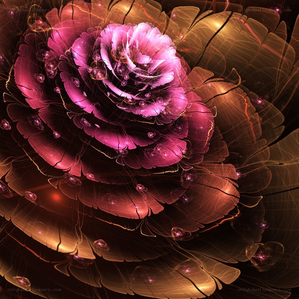 fractal rose with glowing petals