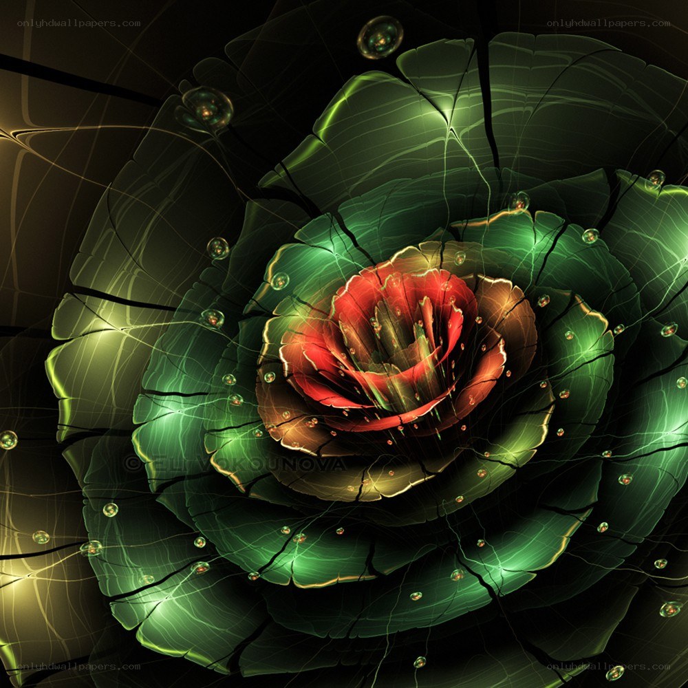 Fractal rose with glowing petals
