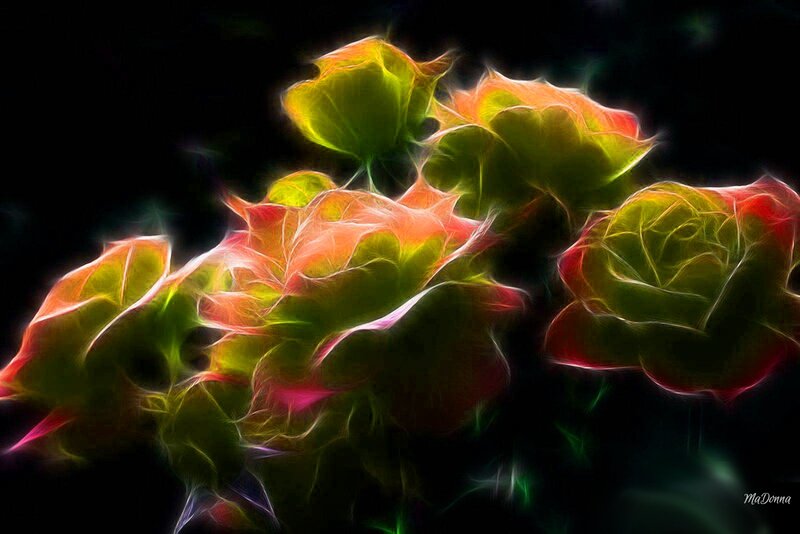 Fractal Roses — Green