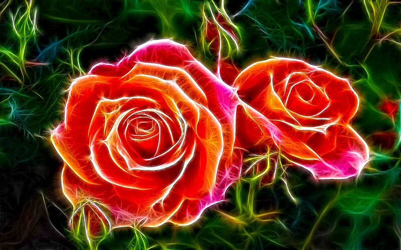 fractal roses in vibrant colors