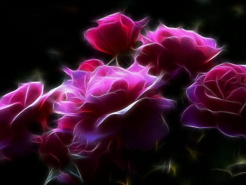Fractal Roses — Purple