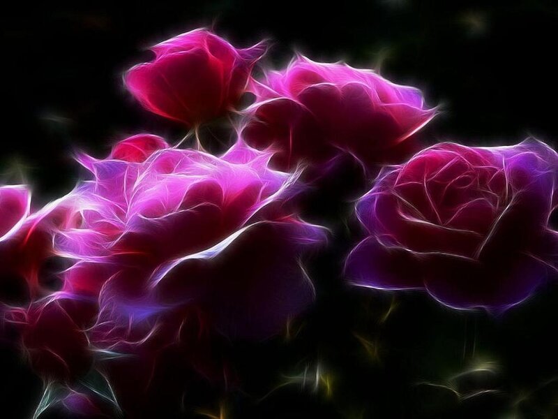 Fractal Roses