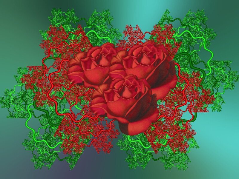 Fractal roses with vines