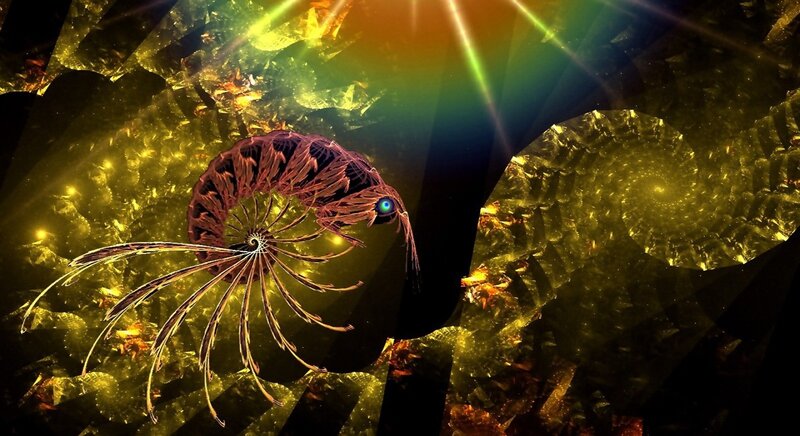 Fractal Sea Creature