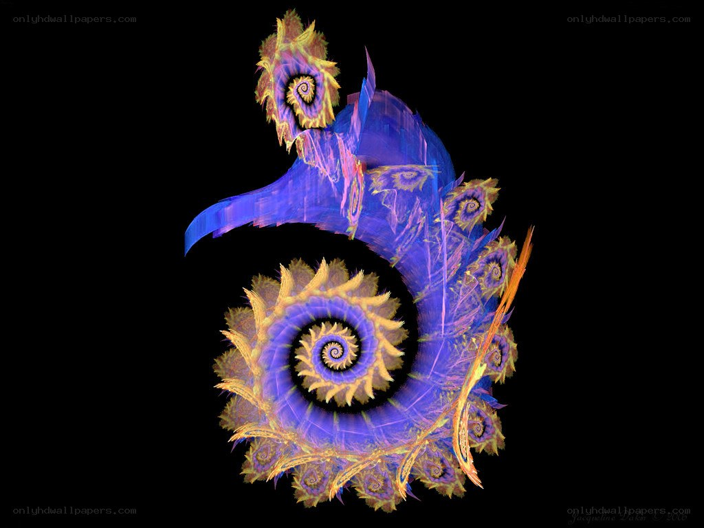 fractal seahorse spiral