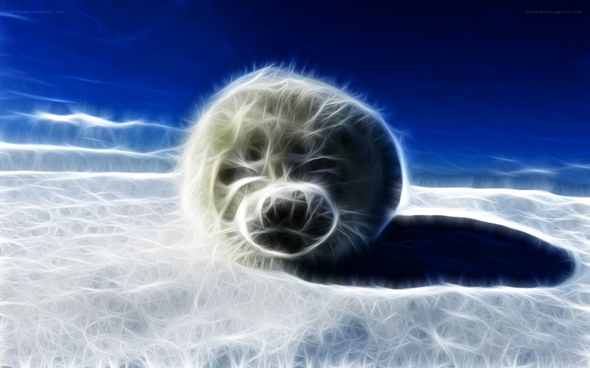 fractal seal on ice