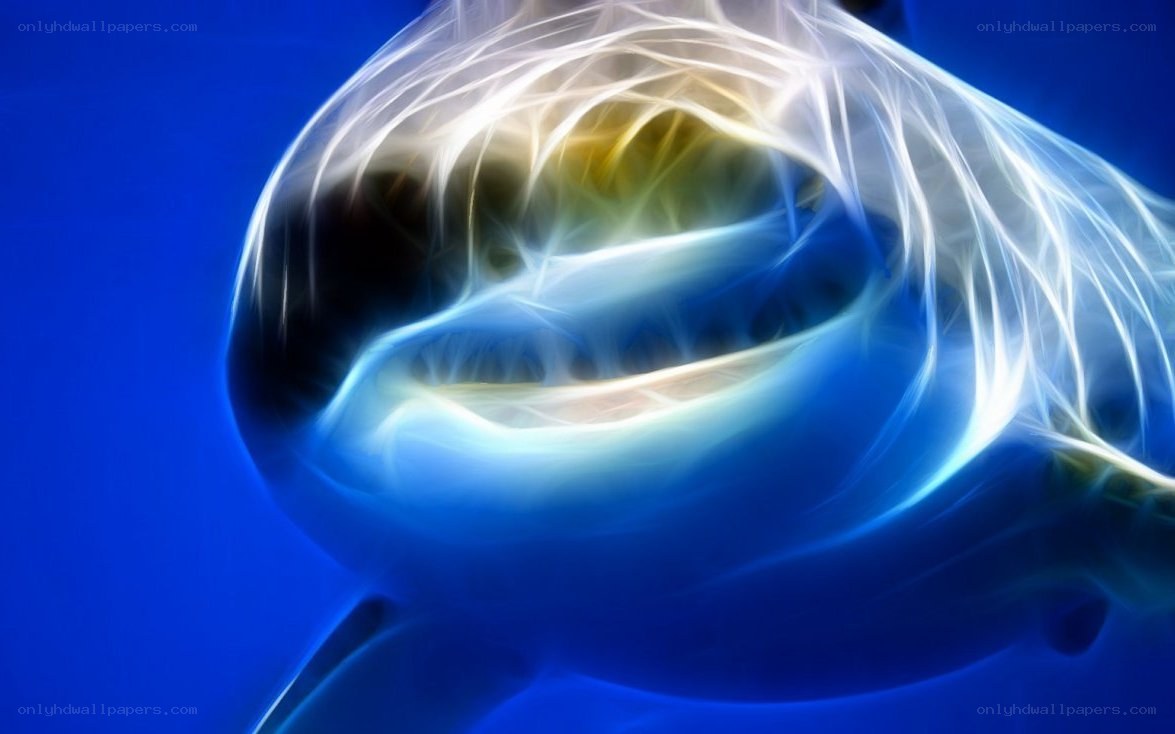 Fractal shark in blue water
