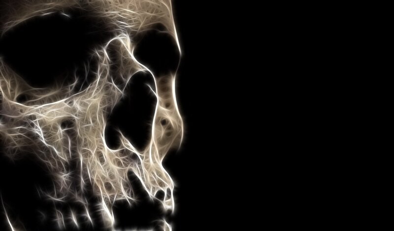 fractal skull design