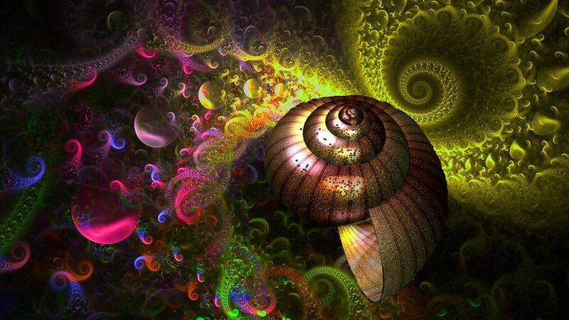 Fractal Snail Shell