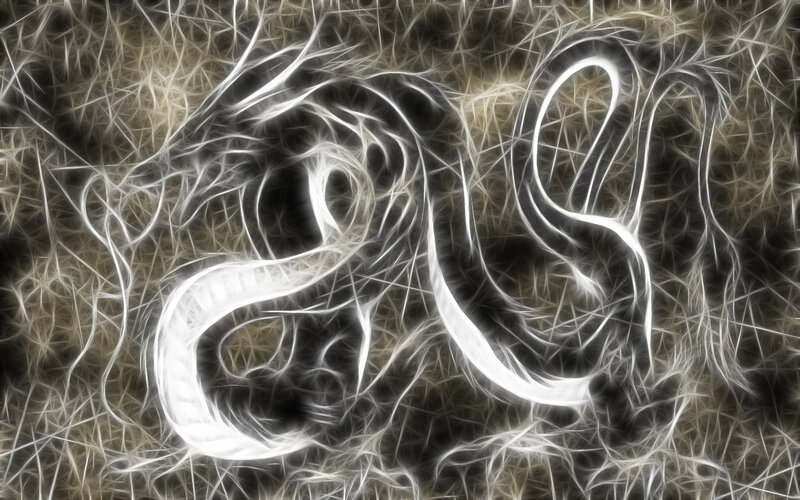 Fractal snake design